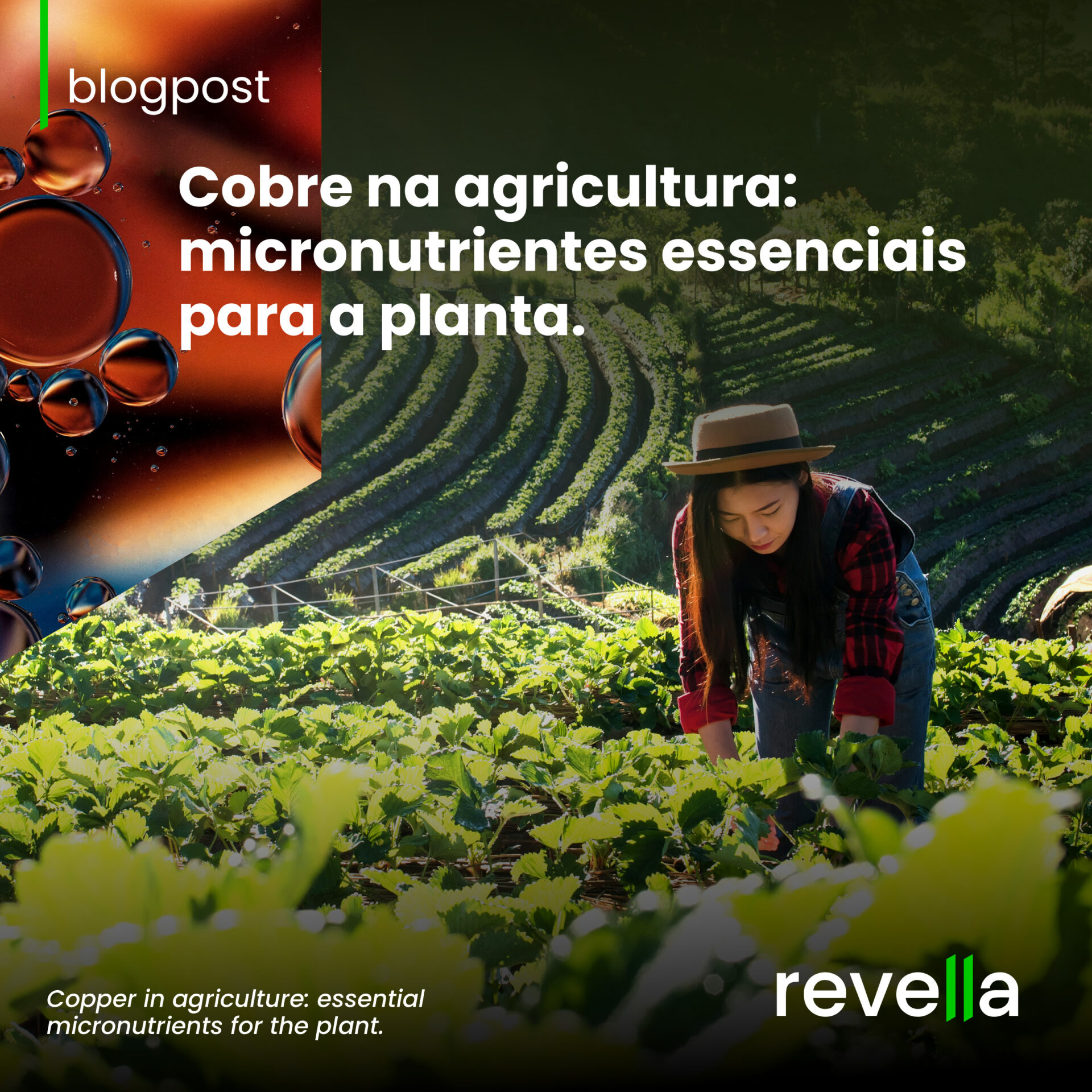 Blogpost REVELLA_Cobre na agricultura (3) (1)