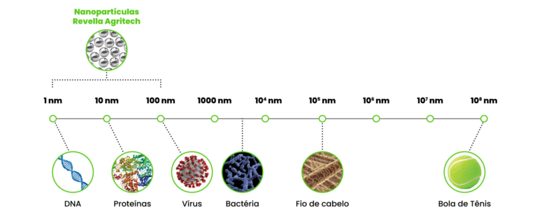 escala nanométrica de adjuvantes