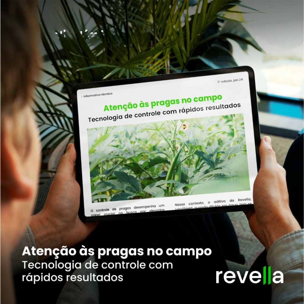 Informativo Técnico - Atenção às pragas no campo