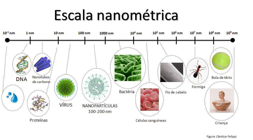 escala das nanopartículas na agricultura