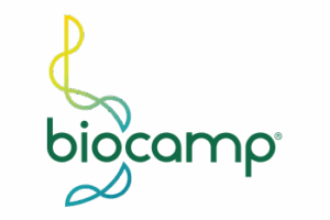 logo-LGPD.png