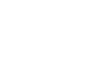 white_only_logo-LGPD-300x200-1.png